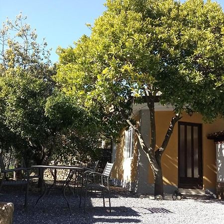 Agriturismo Ardissone Thomas Borganzo المظهر الخارجي الصورة