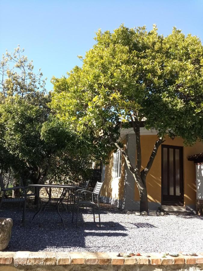 Agriturismo Ardissone Thomas Borganzo المظهر الخارجي الصورة